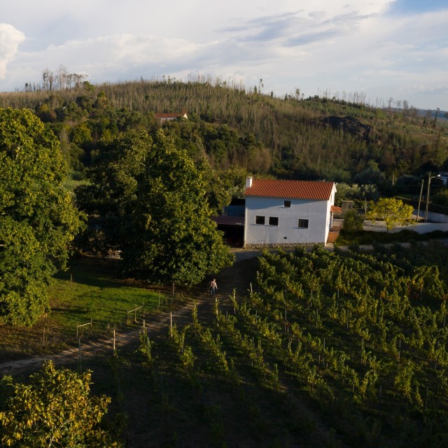 Quinta do Sobral - Solar